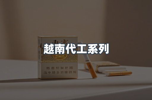 越南代工系列